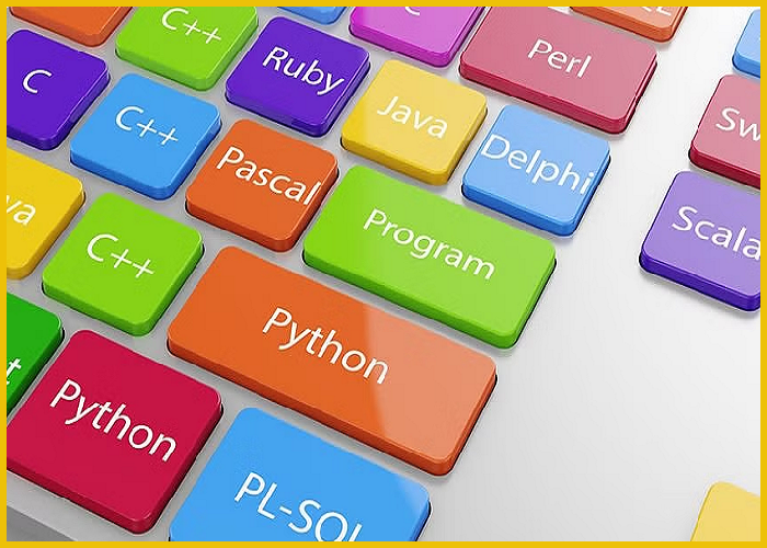 Top 7 Programming Languages To Learn In 2024