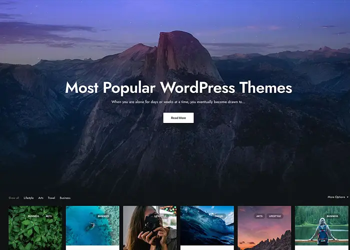 How to Choose the Perfect WordPress Theme for Your Website